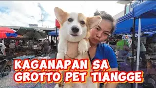 Kaganapan sa Grotto Pet Tiangge Magaganda Pet Nasa Grotto Na