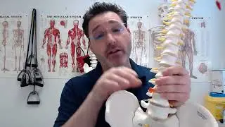 Lumbago: Mild to Severe Low Back Pain