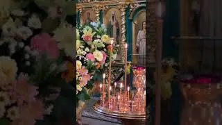 «Ныне отпущаеши», П.Г. Чесноков. Запись со Всенощной ко Дню памяти святителя Суздальского Арсения)