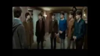 Last Friday Night || Harry Potter