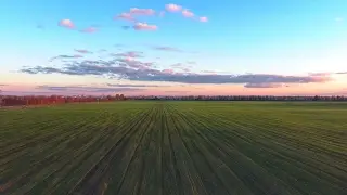 трансляция