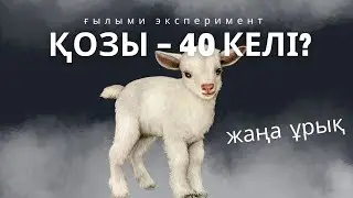 Қазақ ғылымдарының қой өсірудегі ең тиімді әдісі
