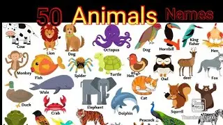 50 Animals Names