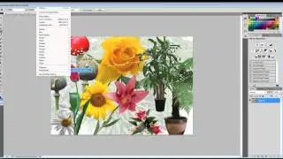 Photoshop Tutorial Pixel Bender Plug In