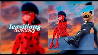 ladynoir - leavitiang