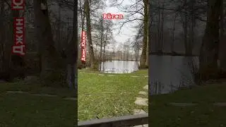 В лесу пруд, в котором разводят форель