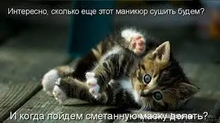 ✅Сметана из литра коровьего молока 🐮 Как сделать домашнюю сметану? 📢 Пошаговый рецепт👍 😉