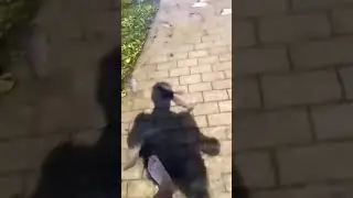 Рыба под ногами))))
