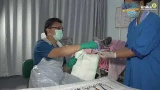 Skills Lab Proses Persalinan Normal Fakultas Kedokteran Soegijapranata Catholic University