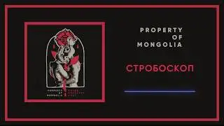 Property Of Mongolia - Стробоскоп | Stroboscopes