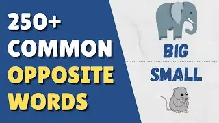 250 Opposite Words | Common Antonyms in English | English Vocabulary