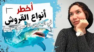 أخطر 5 أنواع من أسماك القرش المفترسة التي لن ترغب في مقابلتها أبدًا ☠️☠️..مفاجأة بالقرب من سواحل مصر