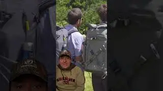 Una piara frena a un tranvía | Noticias con club de caza