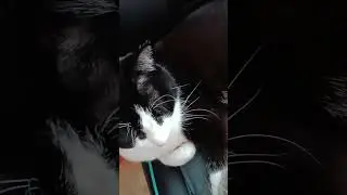 Сон-час⏰