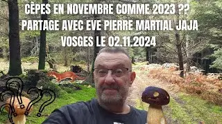 𝐂È𝐏𝐄𝐒 𝐄𝐍 𝐍𝐎𝐕𝐄𝐌𝐁𝐑𝐄 𝐂𝐎𝐌𝐌𝐄 𝟐𝟎𝟐𝟑 ?? 𝐏𝐀𝐑𝐓𝐀𝐆𝐄  𝐕𝐎𝐒𝐆𝐄𝐒  𝟎𝟐 𝟏𝟏 𝟐𝟎𝟐𝟒 🌲🍄🌲 #champignons #mushroom  #fungi