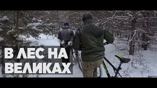 В лес на великах
