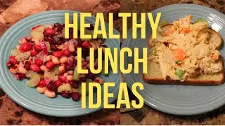 Healthy Lunch Ideas for School/Work 2016 • Joe's Light Bites
