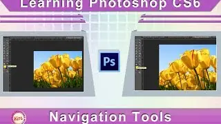 Learning Photoshop CS6: Navigation Tools