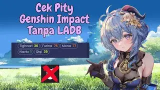 Cara Cek Pity Genshin Impact Versi 4.4± Terbaru Tanpa LADB Di Android