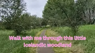 Selfoss, Iceland - Woodland walk | August 2024