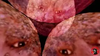Roblox Meatball Man World