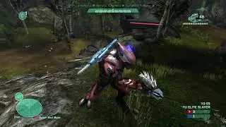 This is what disrespect in Halo looks like