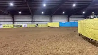 SL Dot Com Bubble 1st 1d Futurity, placed open 2D 