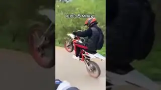 Жиза.. #pitbike #stunt #kayo