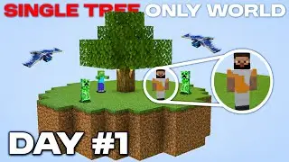 Can I Survive on a SINGLE TREE Only World in Minecraft PE