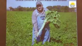 Mimicking Nature: One Farmer's Cover Crop History