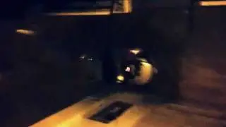 IMG 0174