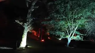 Serralves em Luz, 2024