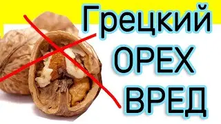 ГРЕЦКИЙ ОРЕХ ПРОТИВОПОКАЗАН ЛЮДЯМ С... ЧТО ТВОРИТ ГРЕЦКИЙ ОРЕХ?
