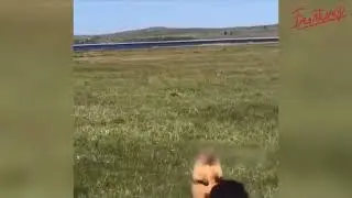 12 мая 2020 г.