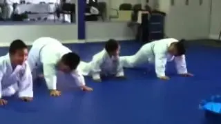The Dragon Ninja