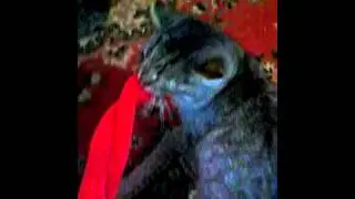 отдай холат я голый