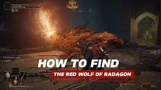 How to Find The Red Wolf Of radagon in 2024 (Build + TIPS)