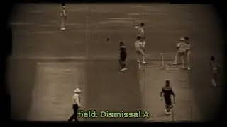 cricket passion