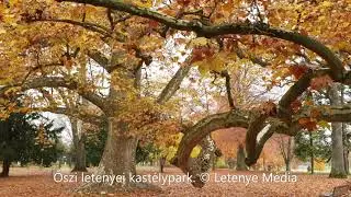 Letenye kastélypark 2021