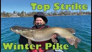 Top Strike Winter Pike