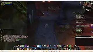 PC GAMING Wow Classic Levelling