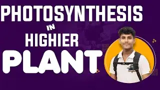 🔴 Short Notes • Photosynthesis In Highier Plant • Class 11 NCERT