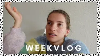 IK HEB DE AUTOSLEUTELS WEGGEOOID... #Vlog82