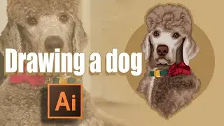 Drawing of a curly-haired brown dog