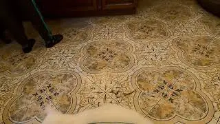 Коты