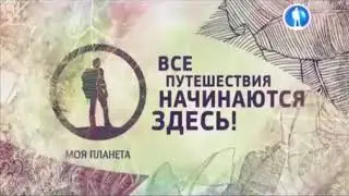 Межпрограммная заставка (Моя Планета, 2015-н.в.)