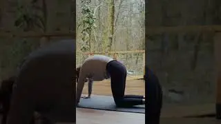 Yoga for Beginners 2021 
