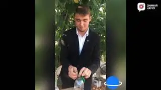 Как сделать гелевый шарик в домашних условиях