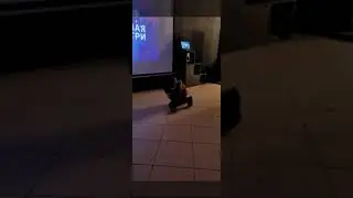 Фильм
