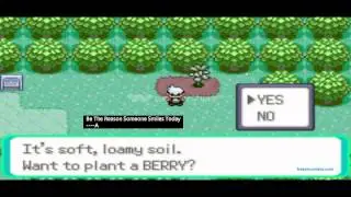 Pokemon Emerald Nuzlocke 3 (Bro Do You Even English?)